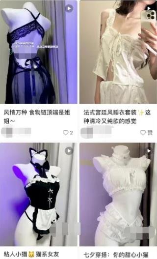 360截图20240605010723188.jpg 小红书上合法擦边带货搞了5W+