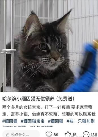 360截图20250104120925227.jpg 小红书做宠物赠送,一个月利润5W+