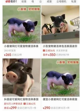 360截图20250609164159282.jpg 冷门赛道日入600米,零技术含量