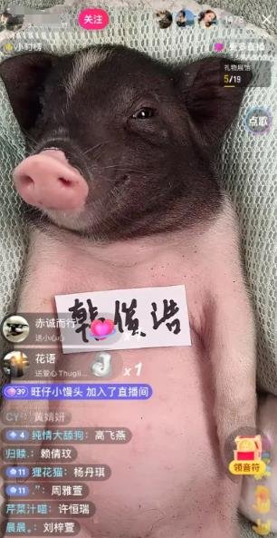 360截图20250609164238463.jpg 冷门赛道日入600米,零技术含量